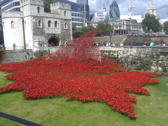 Tower Hill - falling poppies