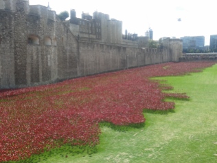 Tower Hill - poppies